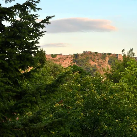 Village Of Peace - House 26 *